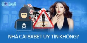 Nhà cái 8xbet uy tín không? Có lừa đảo trá hình?