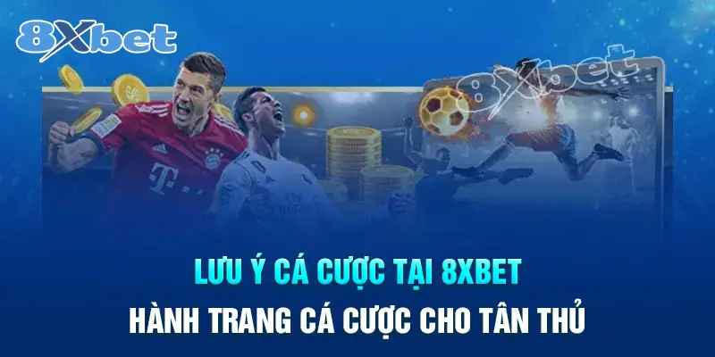 Một số lưu ý khi tham gia cá cược tại 8XBet